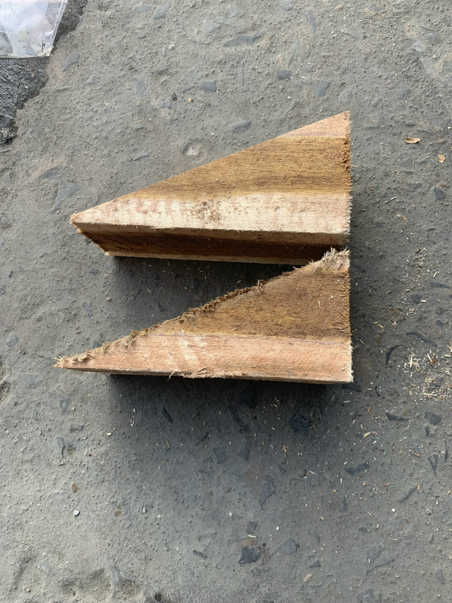 hun trùng gỗ chèn tam giác